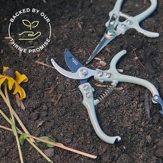 Modern Sprout Hand Pruners & Shears Set with Blister Pack - Lightweight Gardening Tools with Easy Lock - Sharp Carbon Steel Blades -Rust Resistant Scissors for Herbs, Flowers - Lavender