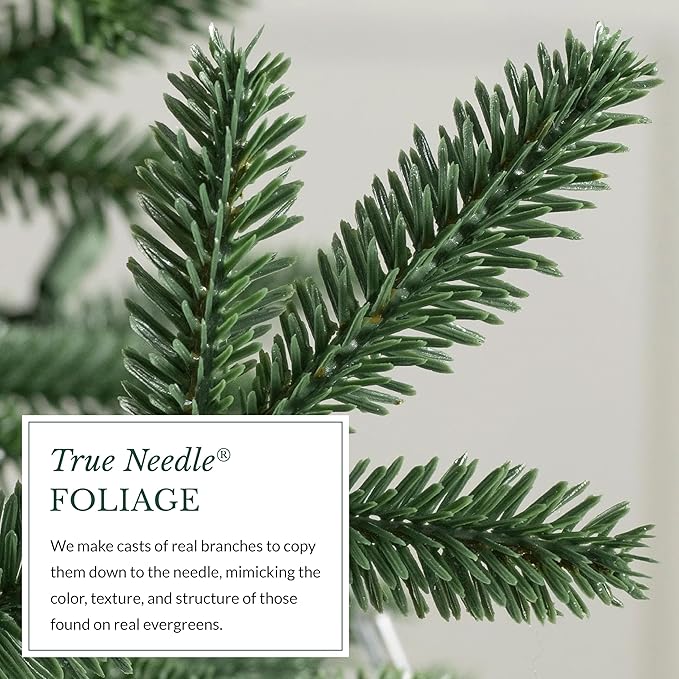 Balsam Hill European Silver Fir - Elegant Artificial Christmas Tree with True Needle Foliage Available Unlit or with LED Clear Lights, Unlit, 7'