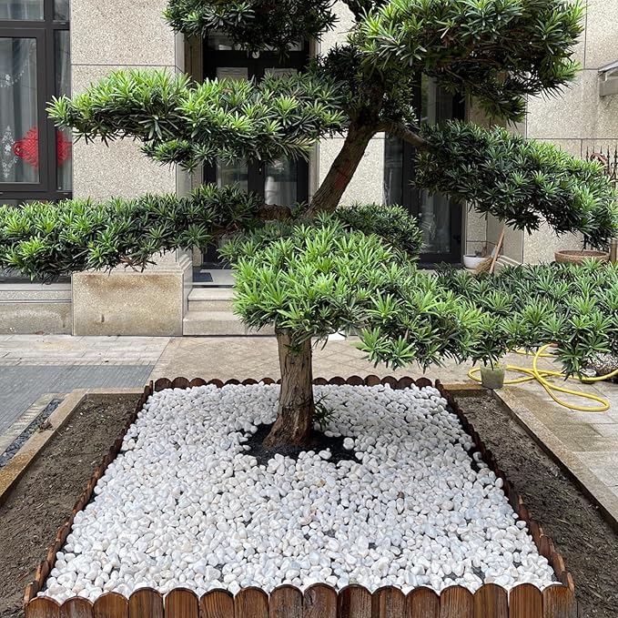 10 lbs White River Rocks for Garden, 0.5-1 Inch Pebbles for Indoor Plants, Decorative Stones for Landscaping, Succulent, Vases, Aquariums and Zen Garden