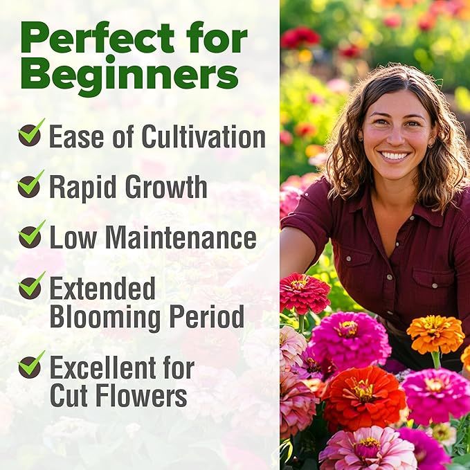 HOME GROWN Zinnia Seeds for 2026 - California Giant Mix - 7,300+ (2 oz) 𝗡𝗢𝗡-𝗚𝗠𝗢 𝗨𝗦𝗔 Plant Wildflower Blooms – Bulk Seeds for Planting Flowers Outside - Pollinator Gardens (Zinnia elegans)