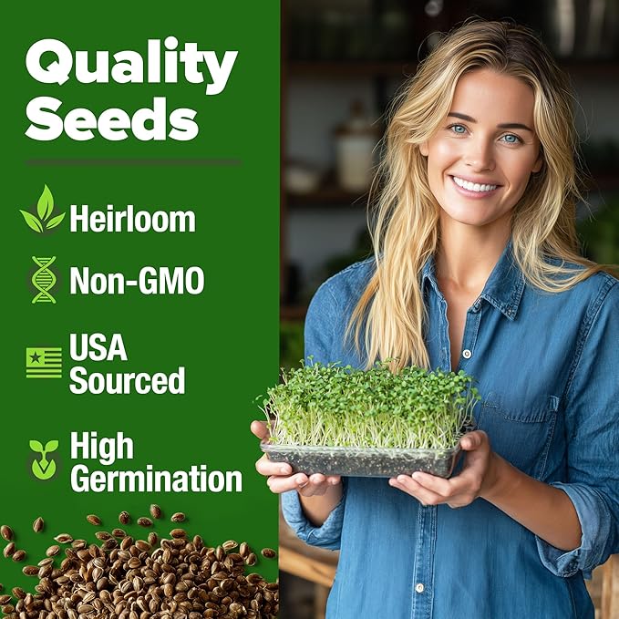 HOME GROWN Broccoli Seeds 8 oz - for Sprouting or Microgreens 𝗡𝗢𝗡-𝗚?𝗢 𝗨𝗦𝗔-𝗦𝗢𝗨𝗥𝗖𝗘𝗗 High Germination Sprout Seeds Nutritious Micro Greens - Broccoli Sprouts in 5 Days - Sulforaphane Rich