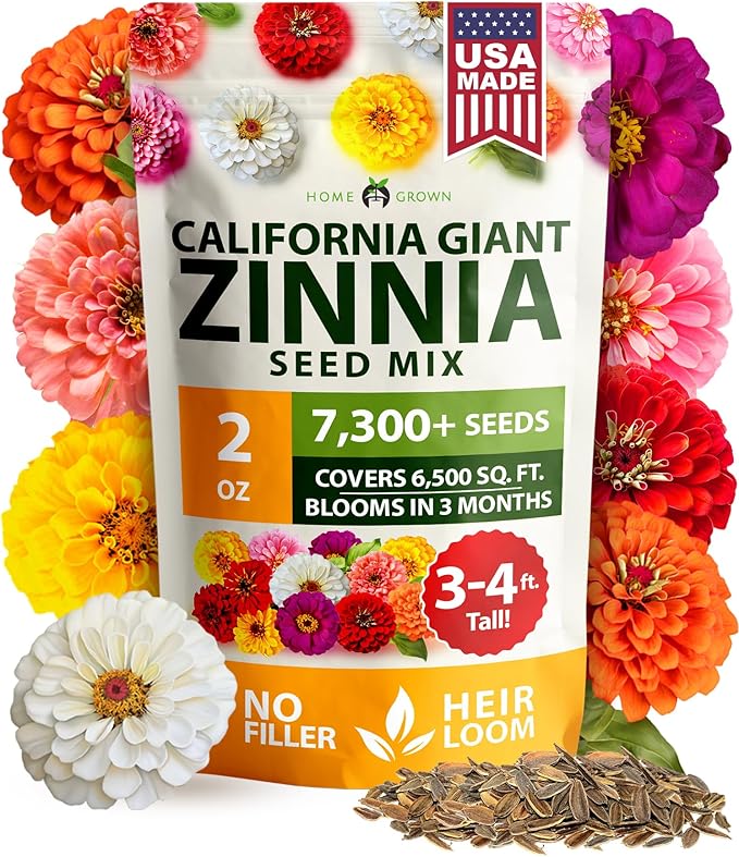 HOME GROWN Zinnia Seeds for 2026 - California Giant Mix - 7,300+ (2 oz) 𝗡𝗢𝗡-𝗚𝗠𝗢 𝗨𝗦𝗔 Plant Wildflower Blooms – Bulk Seeds for Planting Flowers Outside - Pollinator Gardens (Zinnia elegans)