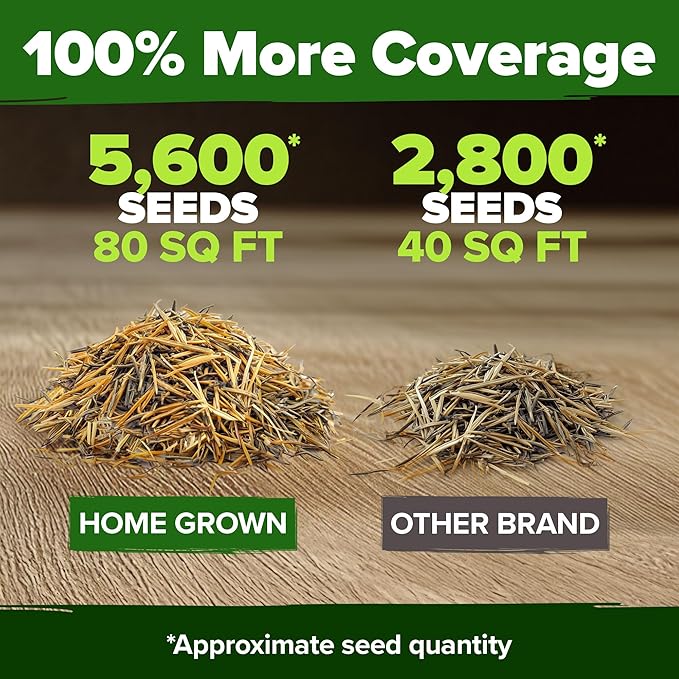 HOME GROWN Marigold Seeds Bulk Mix - 5600+𝗡𝗢𝗡-𝗚𝗠𝗢,𝗨𝗦𝗔 Crackerjack Marigold Flower Seeds for Planting Outdoors -Flowers Seed for Companion Planting -Wildflower African Marigold(Tagetes erecta)