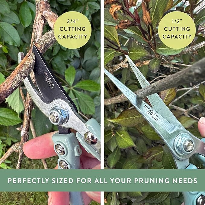 Modern Sprout Hand Pruners & Shears Set with Blister Pack - Lightweight Gardening Tools with Easy Lock - Sharp Carbon Steel Blades -Rust Resistant Scissors for Herbs, Flowers - Ocean