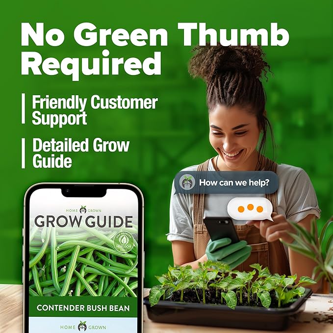 HOME GROWN 𝗨𝗦𝗔 𝗣𝗥𝗘𝗠𝗜𝗨𝗠 Contender Bush Bean Pack - 28 𝗡𝗢𝗡-𝗚𝗠𝗢 Heirloom Green Beans, Vegetable Seeds for Planting, Emergency Food Supply (Phaseolus vulgaris)