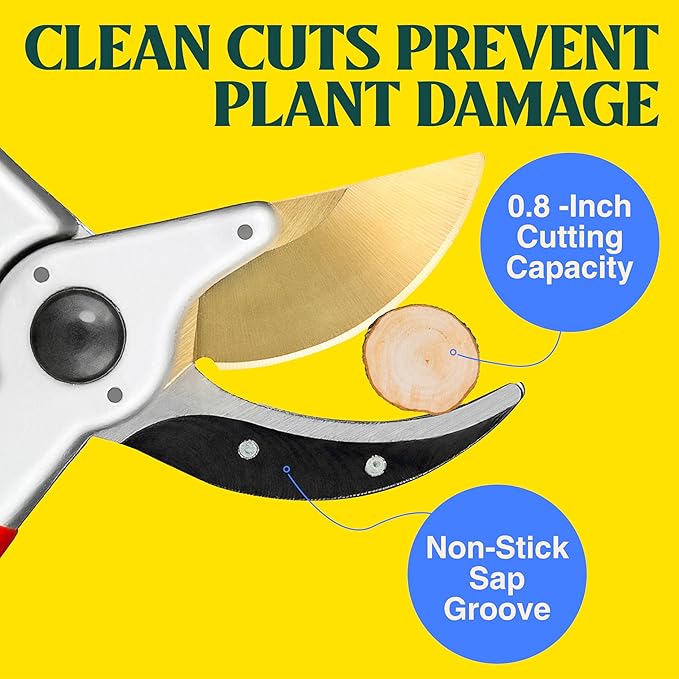 Haus & Garten PrecisionPRO 8 Titanium Pruning Shears - Heavy Duty Professional Bypass Pruner - Use As Rose Clippers, Premium Gardening Secateurs, Garden Scissors, Handheld Yard, Tree, & Plant Tool