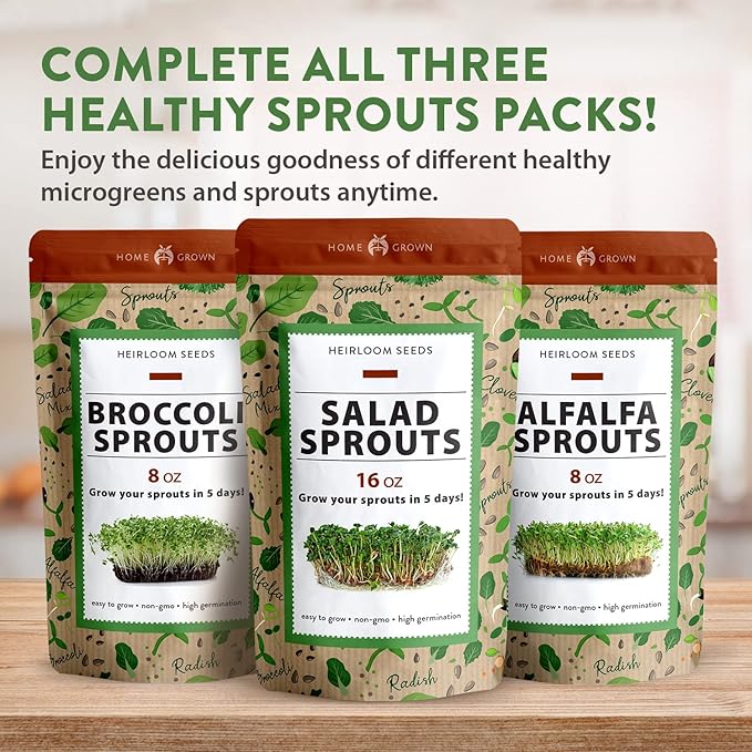 HOME GROWN Broccoli Seeds 8 oz - for Sprouting or Microgreens 𝗡𝗢𝗡-𝗚?𝗢 𝗨𝗦𝗔-𝗦𝗢𝗨𝗥𝗖𝗘𝗗 High Germination Sprout Seeds Nutritious Micro Greens - Broccoli Sprouts in 5 Days - Sulforaphane Rich