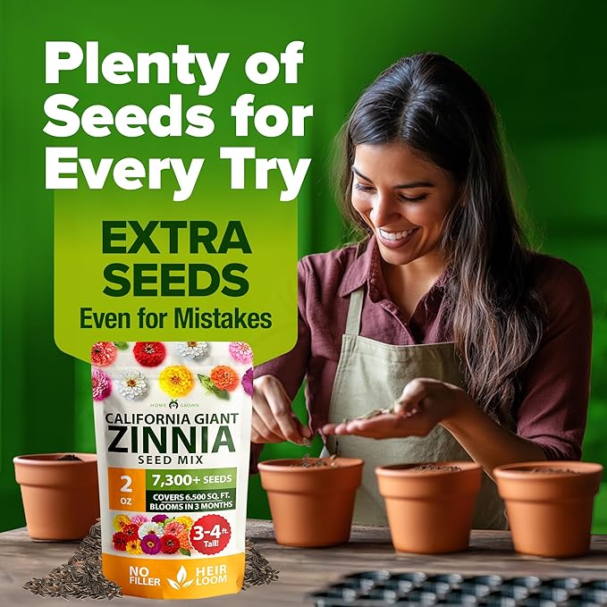 HOME GROWN Zinnia Seeds for 2026 - California Giant Mix - 7,300+ (2 oz) 𝗡𝗢𝗡-𝗚𝗠𝗢 𝗨𝗦𝗔 Plant Wildflower Blooms – Bulk Seeds for Planting Flowers Outside - Pollinator Gardens (Zinnia elegans)