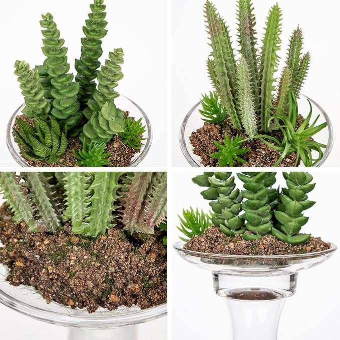 Set of 2 Succulents Plants Artificial Cactus in Glass Pot with Realistic Featuring Sand Moss, Small Fake Succulents Plants Faux Plants Indoor for Home Office Desk Bathroom Shelf Living Room Decor