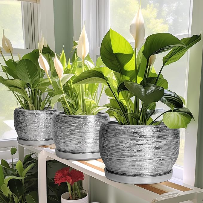 SQOWL Ceramic Plant Pots - 6 Inch Planter for Indoor Outdoor Plants, Modern Round Flower Pots with Drainage Hole and Saucer, Decorative Small Planter, Office Decor, Gifts for Women Men, Silver