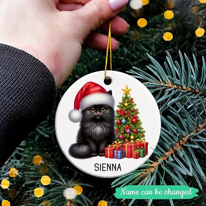 Personalized Black Cat Christmas Ornament with Name, Custom Black Cat Ceramic Ornaments Xmas 2025, Pet Christmas Tree Ornament for Pet Owner, Keepsake Gift for Children Family Friend Coworker