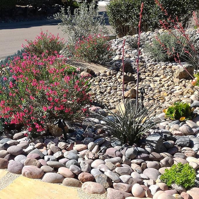 40 lbs Garden Rocks Mexican Beach Pebbles, 3-4 Inch Decorative Large River Rocks for Landscaping Aquarium Yard Garden Paving Large Plant Crafting and Walkways