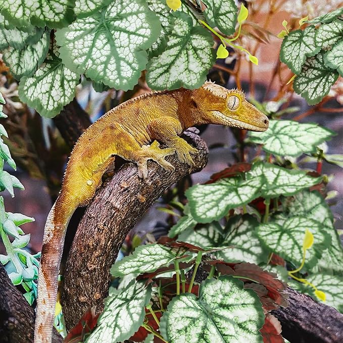 2 Pack Reptile Plants for Terrarium, Artificial Leaves Habitat Decorations with Suction Cups, Terrarium Hanging Plants Vines for Bearded Dragons Lizards Snake Geckos Frogs - Green