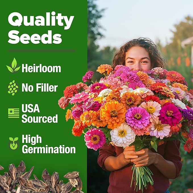 HOME GROWN Zinnia Seeds for 2026 - California Giant Mix - 7,300+ (2 oz) 𝗡𝗢𝗡-𝗚𝗠𝗢 𝗨𝗦𝗔 Plant Wildflower Blooms – Bulk Seeds for Planting Flowers Outside - Pollinator Gardens (Zinnia elegans)