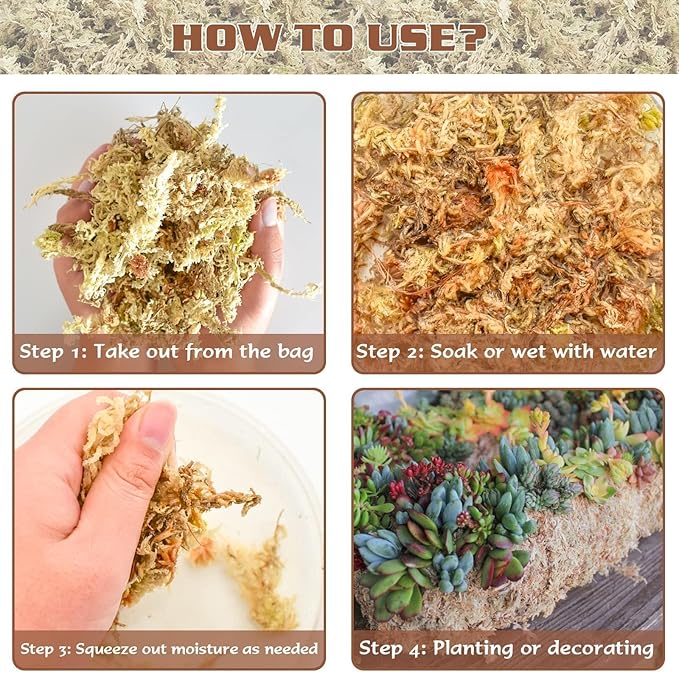 ZeeDix 3 oz Sphagnum Moss for Indoor Plants, Natural Dried Long Fiber Moss for Orchid Repotting, Carnivorous Plants, Succulents, Monstera, Flower & Reptile Terrariums Habitats (Expands to 4 qt)