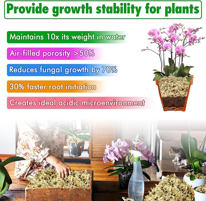 ZeeDix 3 oz Sphagnum Moss for Indoor Plants, Natural Dried Long Fiber Moss for Orchid Repotting, Carnivorous Plants, Succulents, Monstera, Flower & Reptile Terrariums Habitats (Expands to 4 qt)
