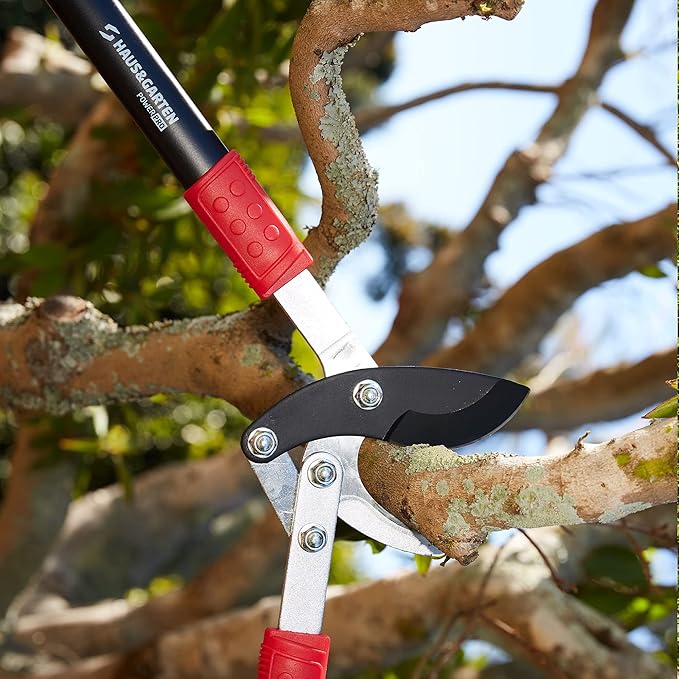Haus & Garten PowerPRO Compound Action 29 Bypass Loppers - Use as loppers for tree trimming, branch cutters, heavy-duty garden pruning tree clippers, lopping shears