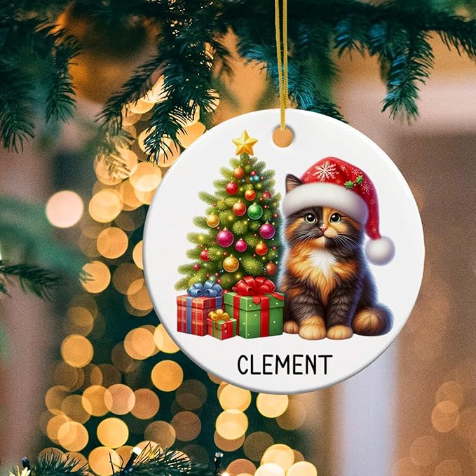 Personalized Tortoiseshell Christmas Tree Ornament 2025, Custom Tortoiseshell Ceramic Ornaments with Name, Cat Christmas Ornament Gift for Cat Lover Family Friend, Pet Xmas Hanging Decoration