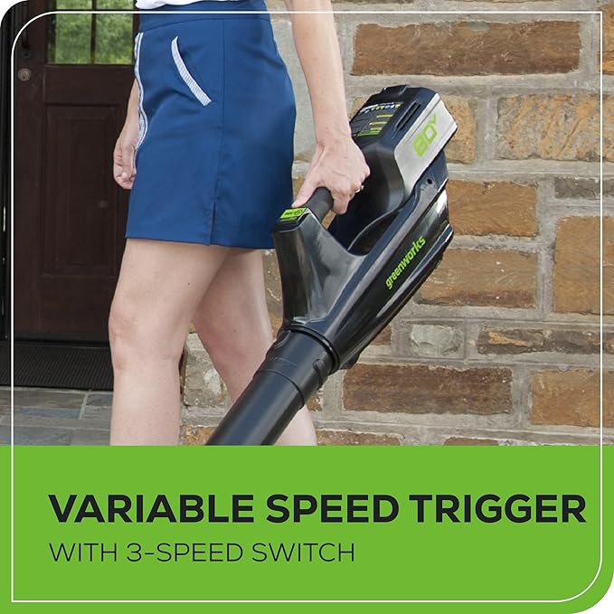 Greenworks 80V 21¡± Brushless (Push) Cordless Electric Lawn Mower + (500 CFM) Axial Leaf Blower (75+ Compatible Tools), (2) 2.0Ah Batteries and 30 Minute Rapid Charger