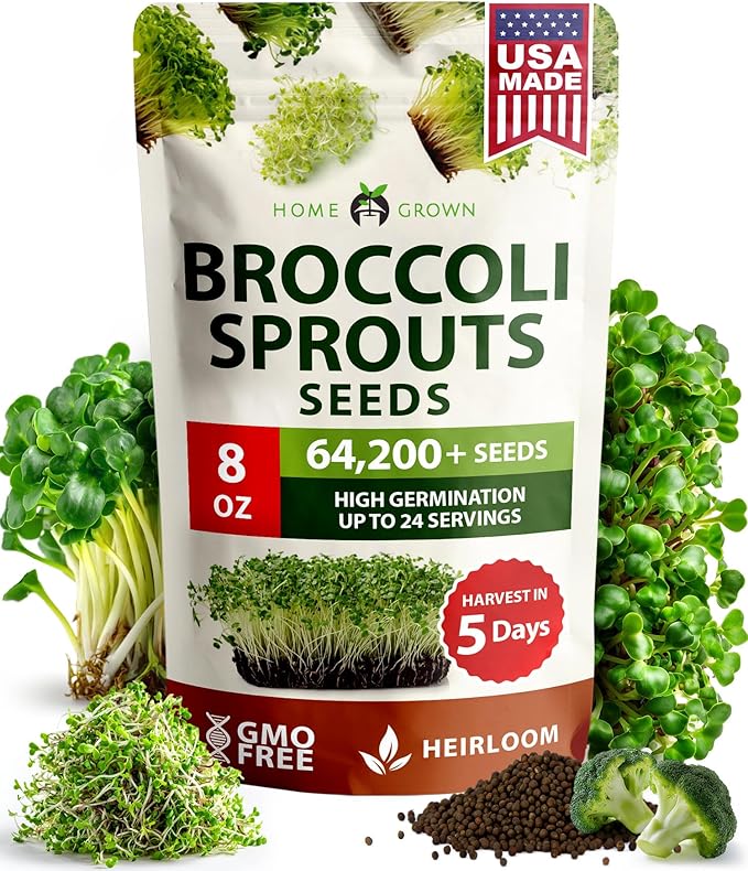 HOME GROWN Broccoli Seeds 8 oz - for Sprouting or Microgreens 𝗡𝗢𝗡-𝗚?𝗢 𝗨𝗦𝗔-𝗦𝗢𝗨𝗥𝗖𝗘𝗗 High Germination Sprout Seeds Nutritious Micro Greens - Broccoli Sprouts in 5 Days - Sulforaphane Rich