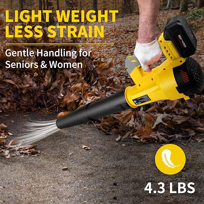Leaf Blower Cordless, 6 Speed Levels Electric Leaf Blower with 4.0Ah Battery and Charger, 580CFM & 160MPH, 4.3 lbs Lightweight, for Lawn Care, Yard, Garage, Blowing Leaves, Dust or Snow
