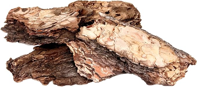 SuperMoss (23255 Decorative Bark – Natural Orchid Bark for Indoor Plants, Terrariums, Fairy Gardens & Reptile Tanks | Home Decor, Potting Soil, & Floral Arrangements, 1,564 Cu. in, Natural