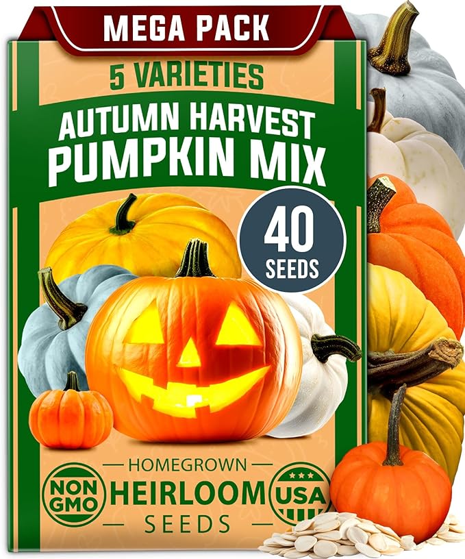 HOME GROWN 𝗨𝗦𝗔 𝗣𝗥𝗘𝗠𝗜𝗨𝗠 5 Pumpkin Seeds Mix - 40 Seeds 𝗡𝗢𝗡-𝗚𝗠𝗢 Heirloom Pumpkin for Planting Ideal Garden for Unique Varieties Yellow Paris and Casper, Culinary and Decorative Use