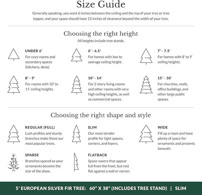 Balsam Hill European Silver Fir - Elegant Artificial Christmas Tree with True Needle Foliage Available Unlit or with LED Clear Lights, Unlit, 5'