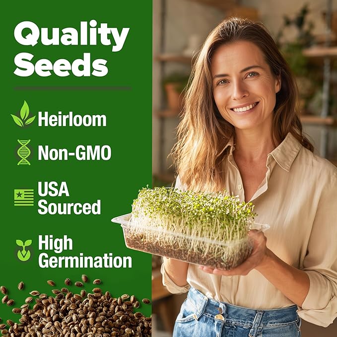 HOME GROWN 𝗨𝗦𝗔 𝗣𝗥𝗘𝗠𝗜𝗨𝗠 Alfalfa Sprout Seeds 16oz Bulk Pack with Thousands of Seeds 𝗡𝗢𝗡-𝗚𝗠𝗢 Alfalfa for Sprouting & Microgreens Indoor Outdoor Growing Resealable Bag High Germination