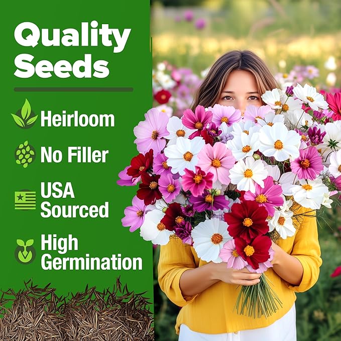 HOME GROWN Cosmos Flower Seeds Bulk Pack for 2026 (1.8 oz) 8,000+ 𝗡𝗢𝗡-𝗚𝗠𝗢 𝗨𝗦𝗔-𝗦𝗢𝗨𝗥𝗖𝗘𝗗 Heirloom Annual Wildflower Seeds – Pollinator-Friendly Mix for Pollinators & Outdoor Gardens