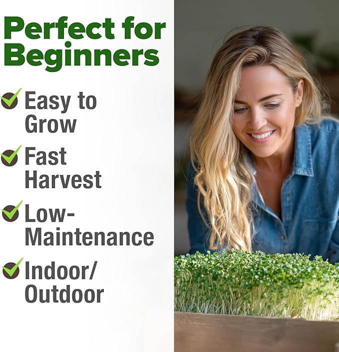 HOME GROWN Broccoli Seeds 8 oz - for Sprouting or Microgreens 𝗡𝗢𝗡-𝗚?𝗢 𝗨𝗦𝗔-𝗦𝗢𝗨𝗥𝗖𝗘𝗗 High Germination Sprout Seeds Nutritious Micro Greens - Broccoli Sprouts in 5 Days - Sulforaphane Rich