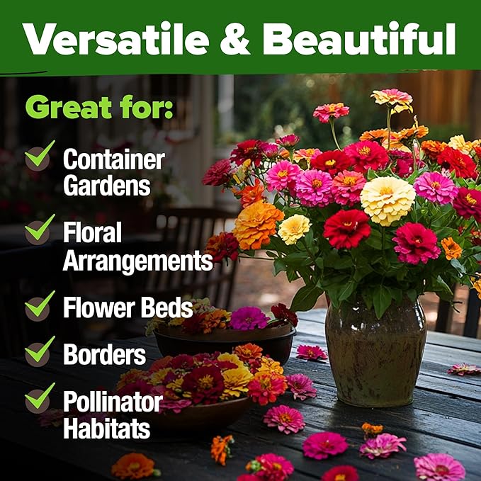 HOME GROWN Zinnia Seeds for 2026 - California Giant Mix - 7,300+ (2 oz) 𝗡𝗢𝗡-𝗚𝗠𝗢 𝗨𝗦𝗔 Plant Wildflower Blooms – Bulk Seeds for Planting Flowers Outside - Pollinator Gardens (Zinnia elegans)