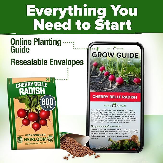 HOME GROWN 𝗨𝗦𝗔 𝗣𝗥𝗘𝗠𝗜𝗨𝗠 Cherry Belle Radish Seeds 800+ 𝗡𝗢𝗡-𝗚𝗠𝗢 Heirloom Vegetable Seeds for Planting Outdoors Harvest in 30 Days Red Radishes, Spring and Fall Gardens (Raphanus Sativus)
