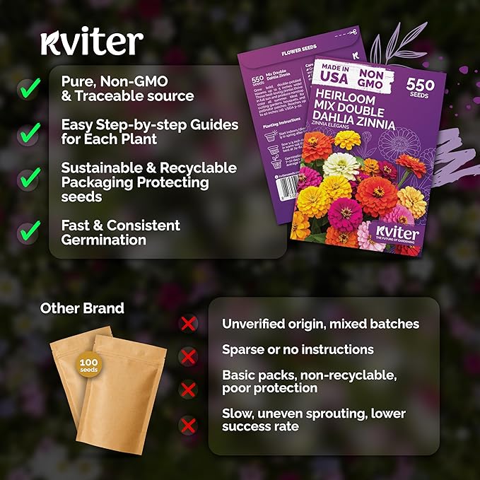 KVITER 550 Dahlia Zinnia Seeds for 2025 Mix (Zinnia Elegans) – Double Blooms, Heirloom & Organic – Flower Seeds for Planting Outdoors in Garden, Containers, Flower Beds. Ideal for Cut Flowers