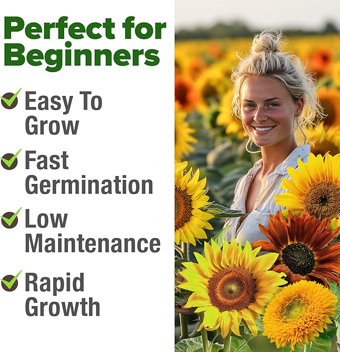 HOME GROWN Sunflower Seeds Mix Pack 1,500+ 9 Colorful Varieties of Sun Flower Seeds to Plant - 2-10ft Tall Plants, Pollinator Friendly 𝗡𝗢𝗡-𝗚𝗠𝗢 𝗨𝗦𝗔 – Easy to Grow, High Germination