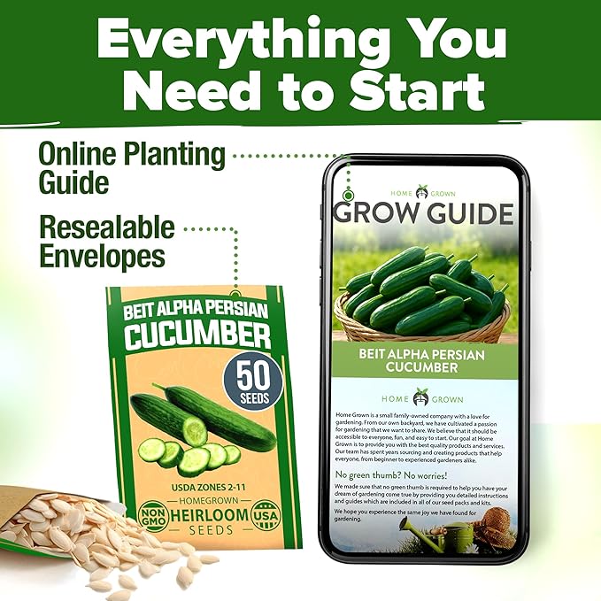 HOME GROWN 𝗨𝗦𝗔 𝗣𝗥𝗘𝗠𝗜𝗨𝗠 Persian Cucumber Seeds – 50+ Heirloom Non-GMO, High-Yielding Beit Alpha Variety | Fast Growing, Sweet Tender Skin, Home Vegetable Garden Seeds (Cucumis sativus)