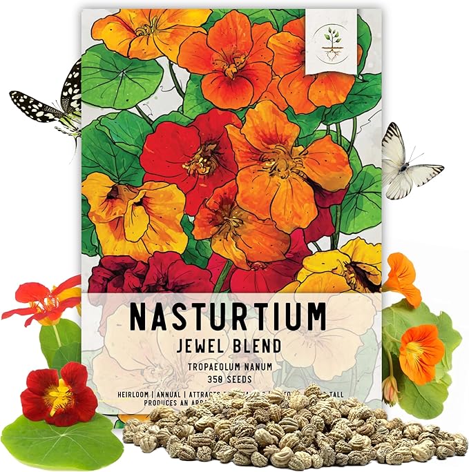 Seed Needs Nasturtium Seeds Jewel Mix Multicolored Edible Flowers | 1.5 Ounce 350+ Seeds Tropaeolum Nanum Annual Flower Seed Mix | Bulk Jewel Nasturtiums for The Garden