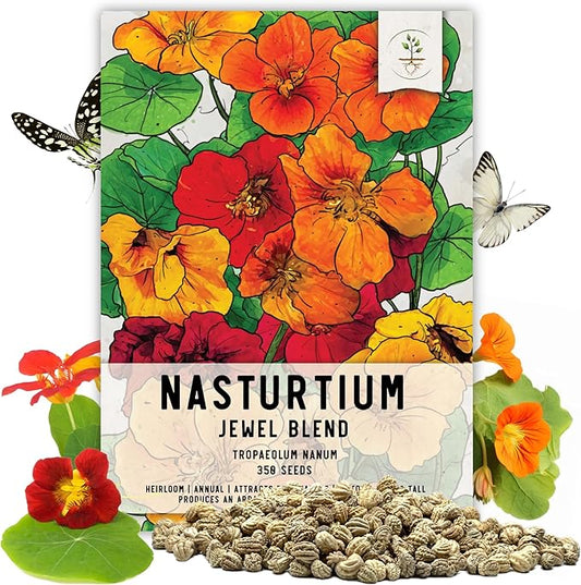 Seed Needs Nasturtium Seeds Jewel Mix Multicolored Edible Flowers | 1.5 Ounce 350+ Seeds Tropaeolum Nanum Annual Flower Seed Mix | Bulk Jewel Nasturtiums for The Garden