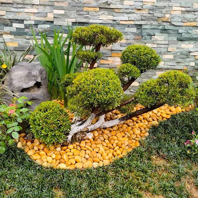 Rocks for Plant 5lbs, Yellow River Rocks 1-2 Inch Natural Pebbles for Indoor Plants, High Polished Decorative Stones Vase Filler Fish Tank Aquariums Landscaping Garden