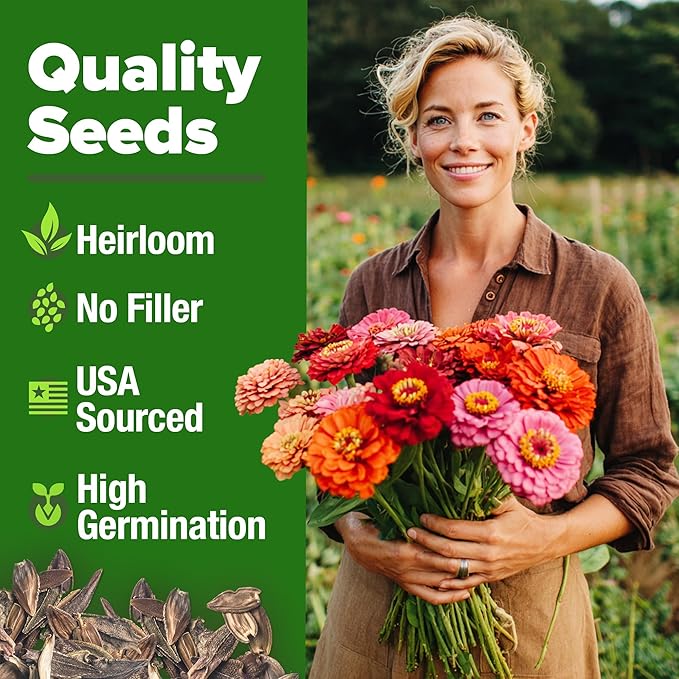 HOME GROWN 𝗨𝗦𝗔 𝗣𝗥𝗘𝗠𝗜𝗨𝗠 Zinnia Dahlia Seeds Pack for 2026 – 524 𝗡𝗢𝗡-𝗚𝗠𝗢 Flower Seeds | Vibrant Zinnia Elegans for Pollinator Gardens, Borders & Containers | Easy-to-Grow Outdoor Blooms