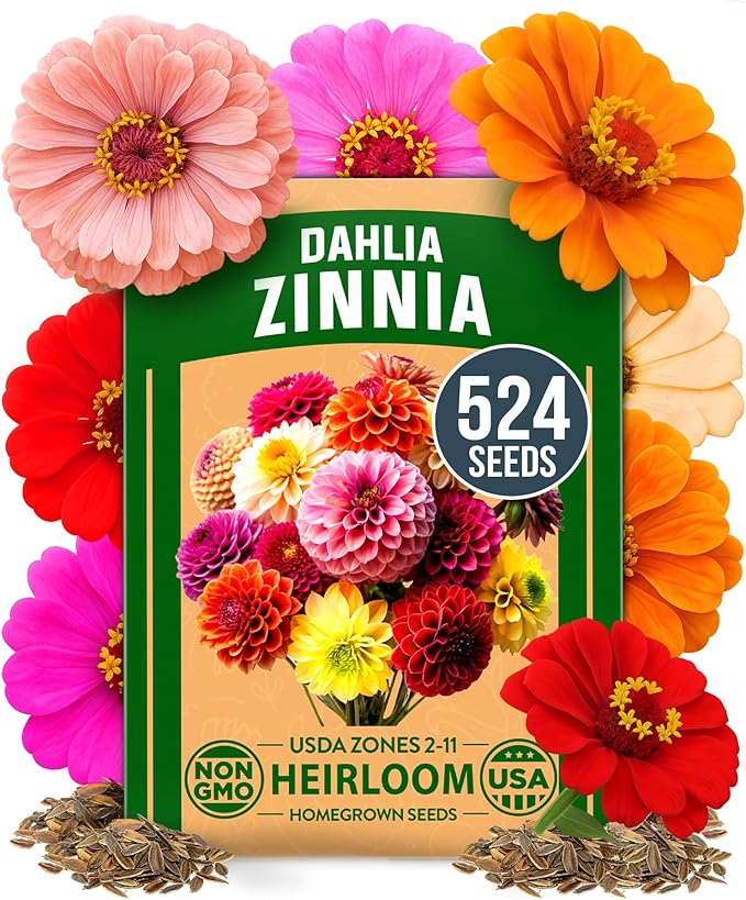HOME GROWN 𝗨𝗦𝗔 𝗣𝗥𝗘𝗠𝗜𝗨𝗠 Zinnia Dahlia Seeds Pack for 2026 – 524 𝗡𝗢𝗡-𝗚𝗠𝗢 Flower Seeds | Vibrant Zinnia Elegans for Pollinator Gardens, Borders & Containers | Easy-to-Grow Outdoor Blooms