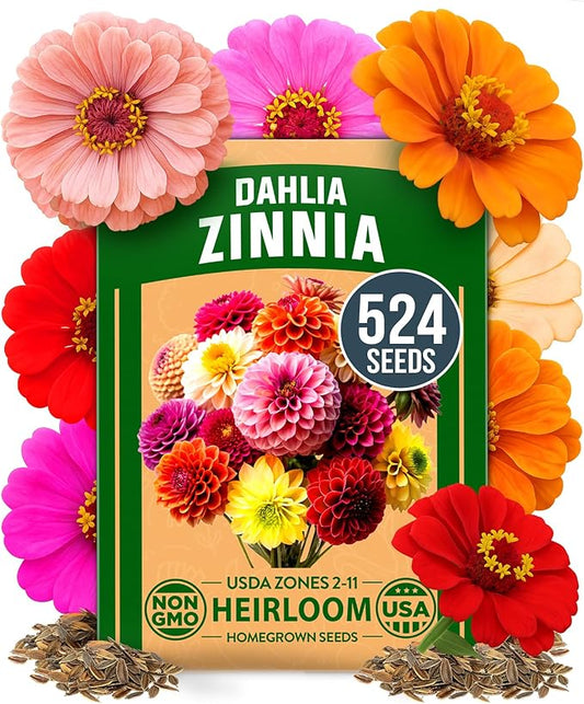 HOME GROWN 𝗨𝗦𝗔 𝗣𝗥𝗘𝗠𝗜𝗨𝗠 Zinnia Dahlia Seeds Pack for 2026 – 524 𝗡𝗢𝗡-𝗚𝗠𝗢 Flower Seeds | Vibrant Zinnia Elegans for Pollinator Gardens, Borders & Containers | Easy-to-Grow Outdoor Blooms