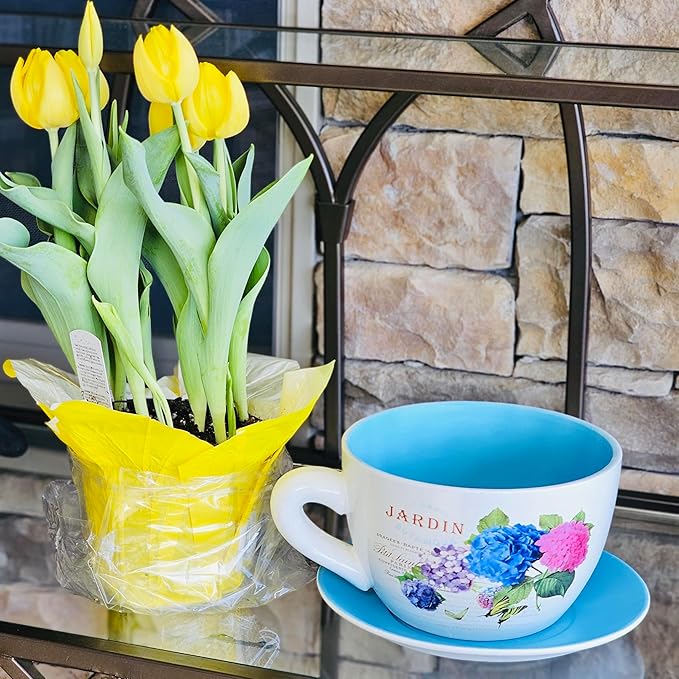 7.5" Ceramic Teacup Planter Pot with Saucer | Ideal for Succulents, Orchids, Herbs & Flowers | Indoor Use| Thoughtful Gift for Christmas, Birthday & More – Blue Hydrangea Jardin