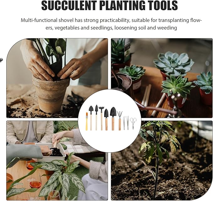 10 Pcs Mini Succulent Planting Tools and Gardening Kit for Transplanting and Caring Bonsai Flowers Compact Plant Growing Tools for Indoor Outdoor Use