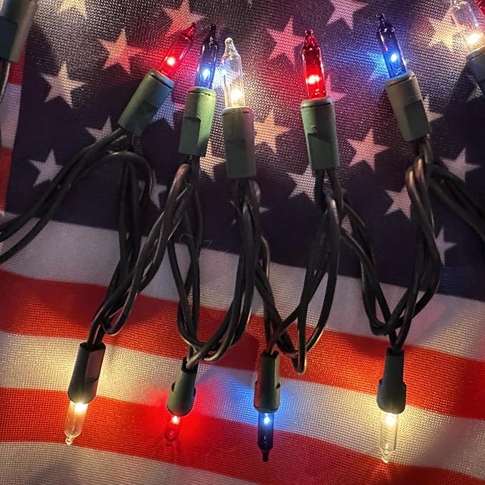 Red White Blue 4th of July Patriotic Day Decorations Lights 100 Count Mini String Lights with Green Wire for Outdoor Indoor Christmas,Holiday,Party, Independence Day Decor,UL Certified (21feet)