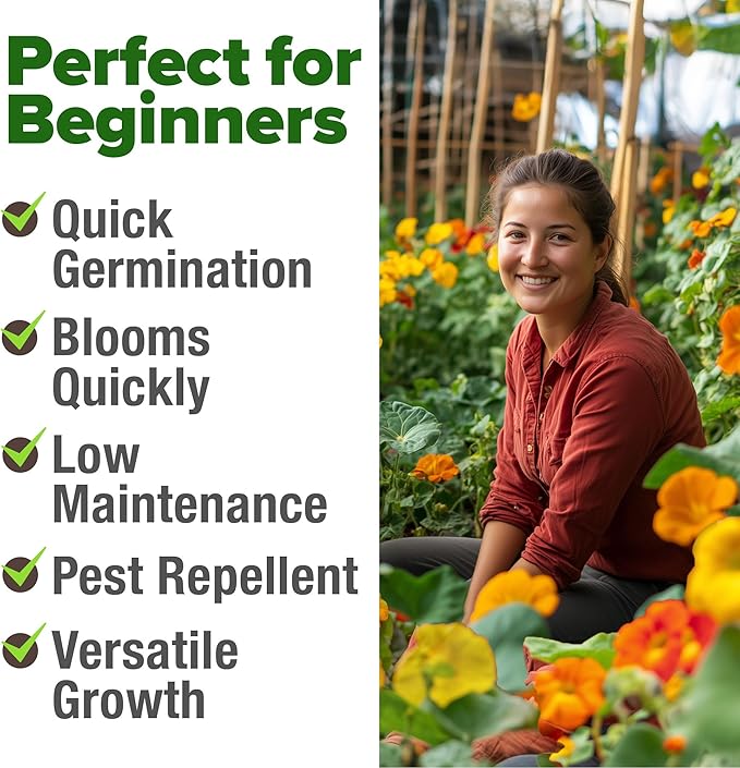 HOME GROWN Nasturtium Seeds Dwarf Tall Trailing Mix – 250+ 𝗡𝗢𝗡-𝗚𝗠𝗢 Edible Flower Seeds for Planting Outdoors – Fast Germination, Low-Maintenance Climbing & Trailing Nasturtium (Tropaeolum majus)