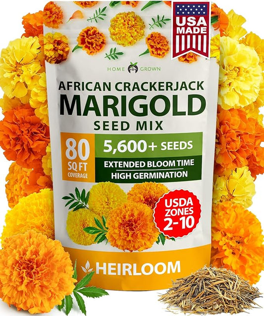 HOME GROWN Marigold Seeds Bulk Mix - 5600+𝗡𝗢𝗡-𝗚𝗠𝗢,𝗨𝗦𝗔 Crackerjack Marigold Flower Seeds for Planting Outdoors -Flowers Seed for Companion Planting -Wildflower African Marigold(Tagetes erecta)
