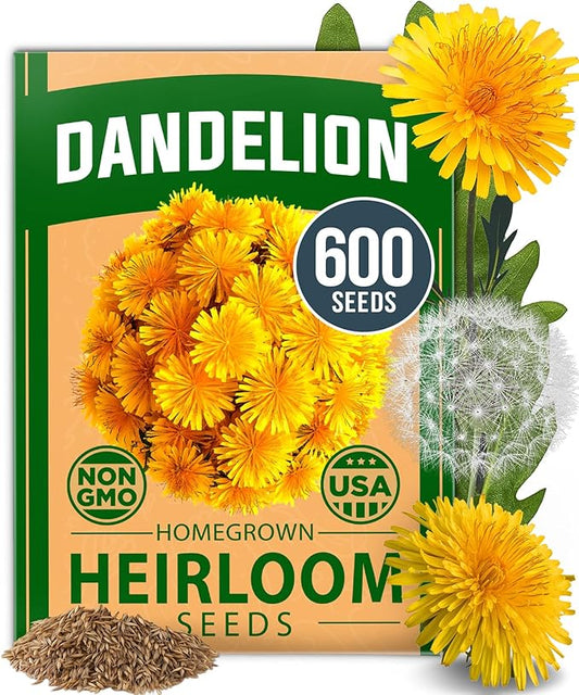 HOME GROWN 𝗨𝗦𝗔 𝗣𝗥𝗘𝗠𝗜𝗨𝗠 Dandelion Seeds for Planting – 600 Heirloom Medicinal Herb Seeds (~0.3g) 𝗡𝗢𝗡-𝗚𝗠𝗢 Grow Edible Leaves and Flowers for Remedies or Wildlife (Taraxacum officinale)