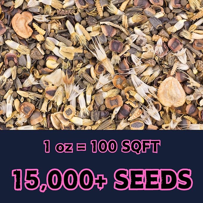 Hummingbird Wildflower Mix (1oz) Sprinkle a Little Magic—Our Shade, Perennial, Hummingbird, Deer-Resistant, and Other mixes Bring Vibrant Color and pollinator Joy to Any Space.