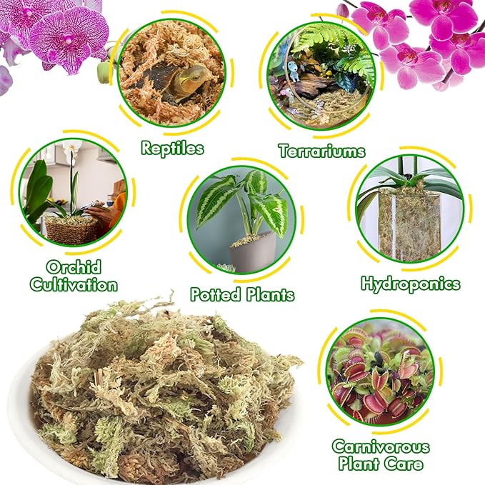ZeeDix 3 oz Sphagnum Moss for Indoor Plants, Natural Dried Long Fiber Moss for Orchid Repotting, Carnivorous Plants, Succulents, Monstera, Flower & Reptile Terrariums Habitats (Expands to 4 qt)